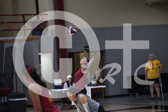 PCN VB Varsity 2024_2019