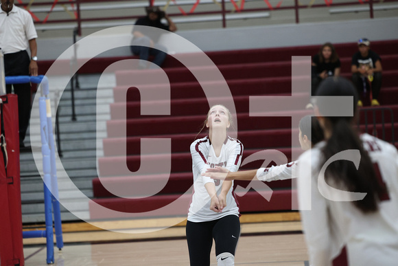 PCN VB JV 2024_1321
