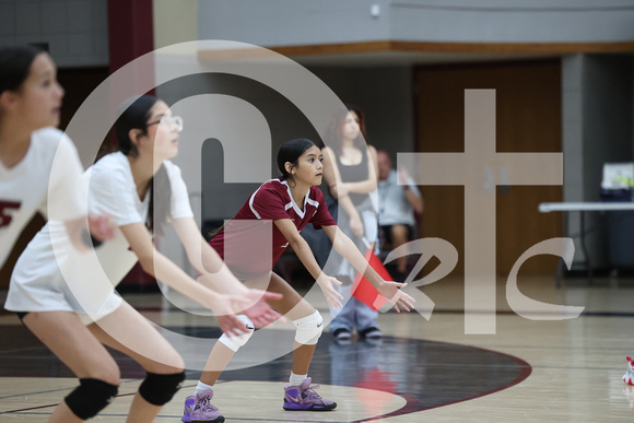 PCN VB Freshman 2024_1559