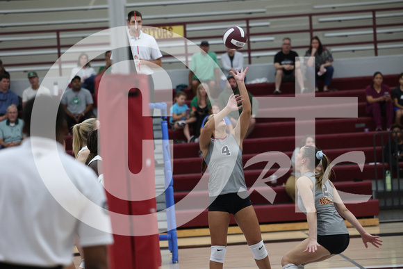 PCN Varsity VB 2024_3343