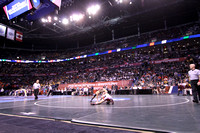 NCAA Wrestling Competition 2014
